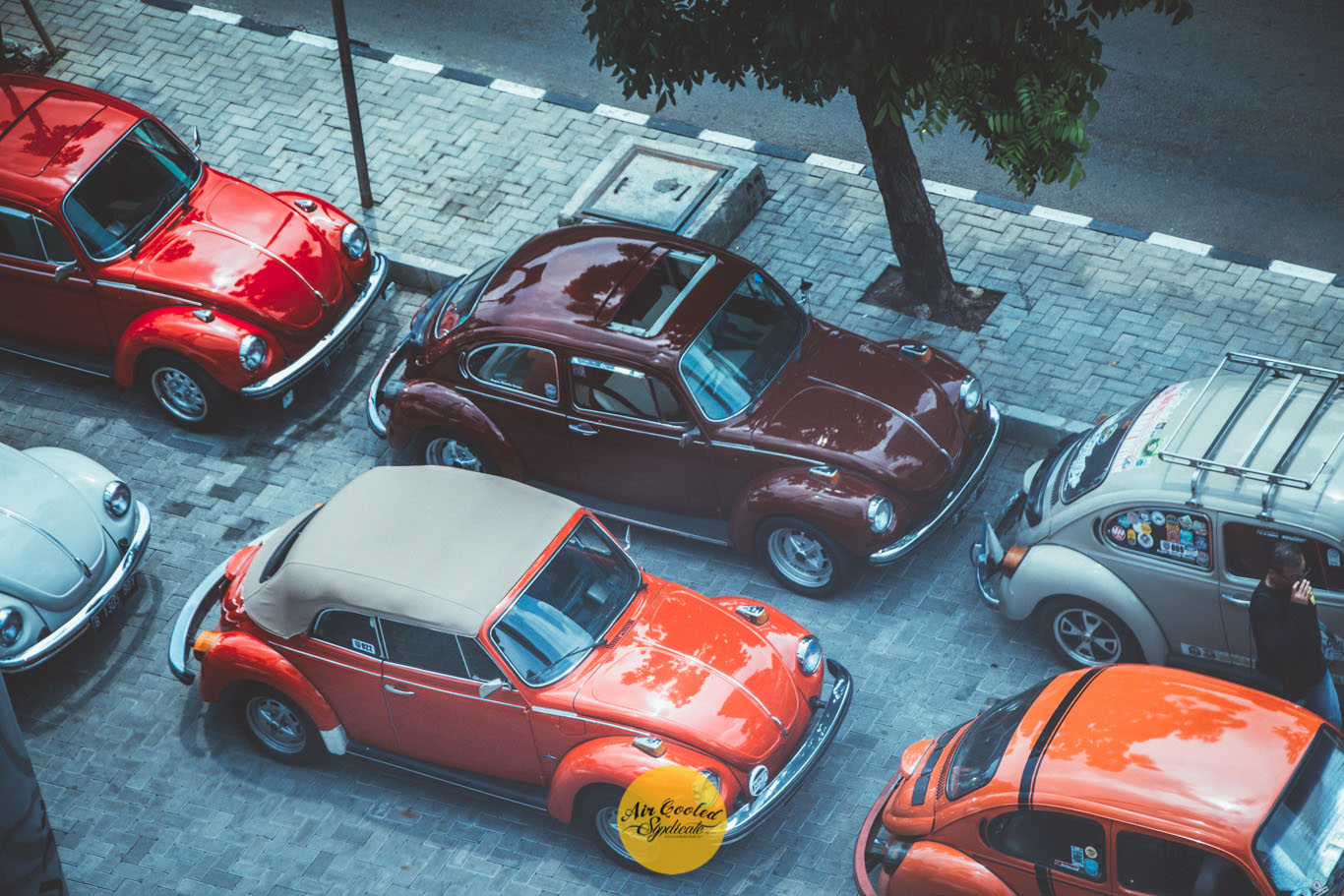 super beetle owner aircooled syndicate - Air Cooled Syndicate